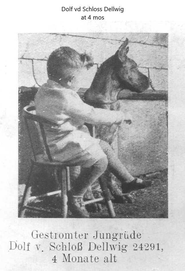 Dolf v Schloss Dellwig